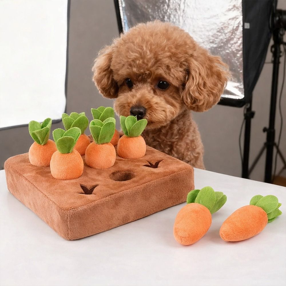 Alas Mainan Berbentuk Wortel u - Snuffle Mat For Dogs ulasan dan harga