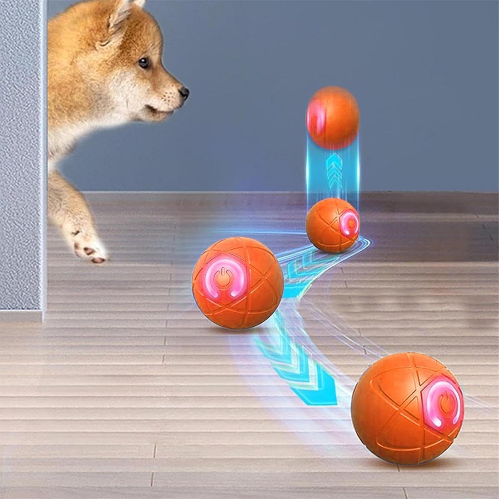 Mainan Anjing Interaktif Pinta - Automatic Moving Dog Ball ulasan dan harga