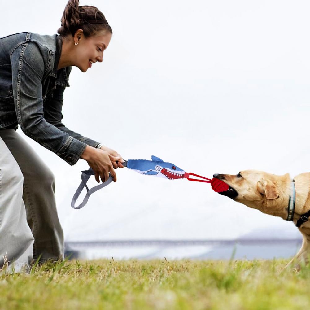 Mainan Tali Tarik Hiu dengan S - Suction Cup Dog Tug Toy ulasan dan harga