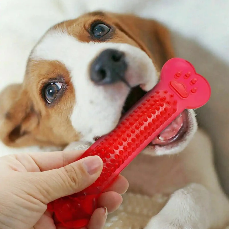 Mainan Kunyah Tulang Anjing Su - Teeth Cleaning Dog Chew Bone ulasan dan harga