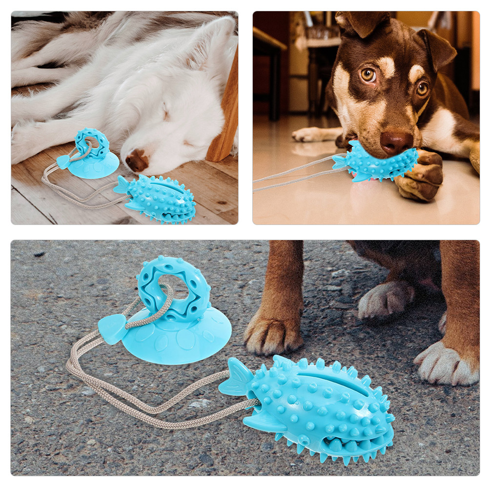 2 Buah Mainan Anjing dengan Ca - Suction Cup Dog Tug Toy ulasan dan harga