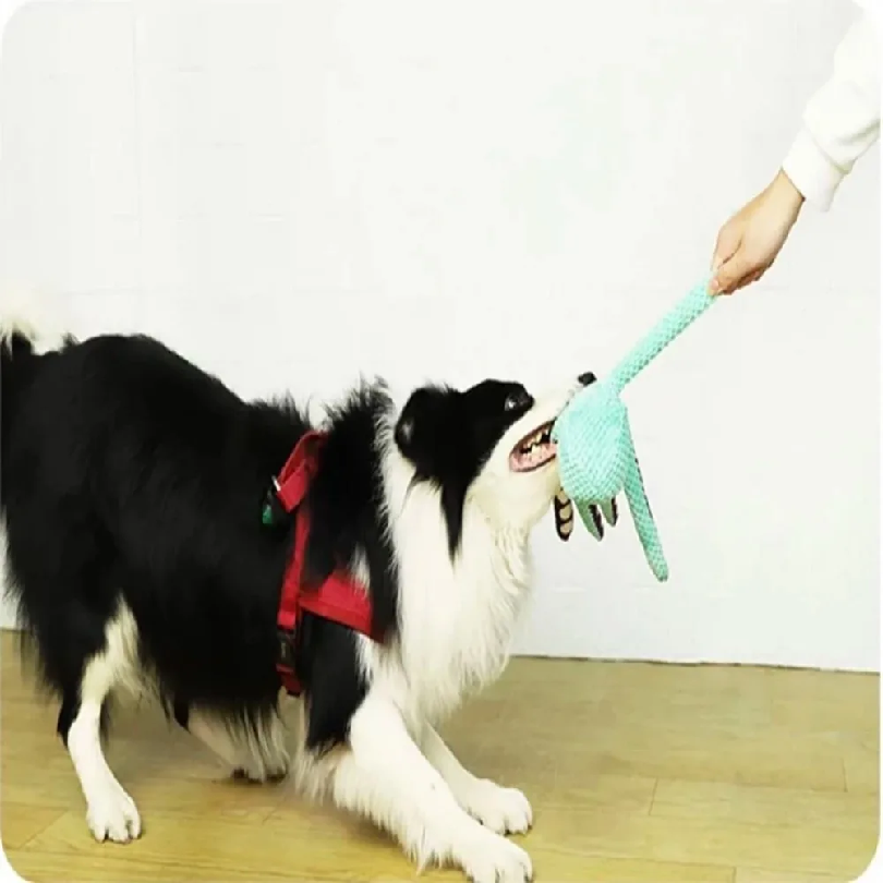 Mainan Anjing Berbentuk Gurita - Snuffle Mat For Dogs ulasan dan harga