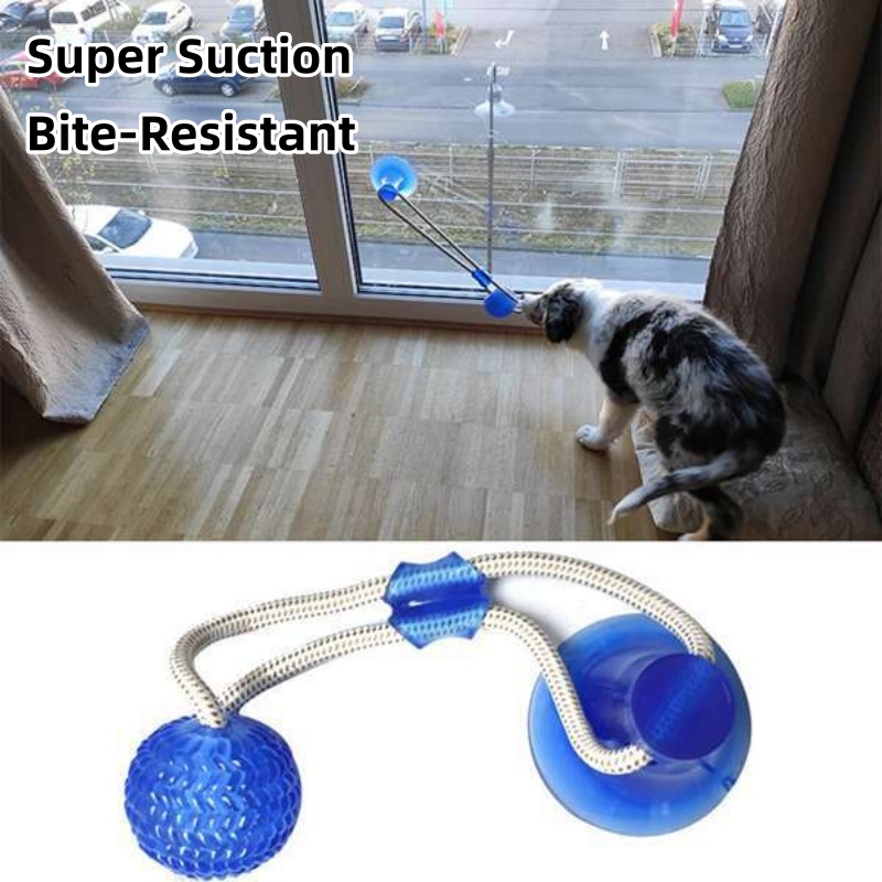 Mainan Tarik Anjing dengan Suc - Suction Cup Dog Tug Toy ulasan dan harga