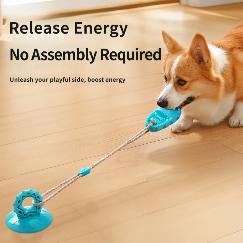 Mainan Tarik Anjing dengan Suc - Suction Cup Dog Tug Toy ulasan dan harga